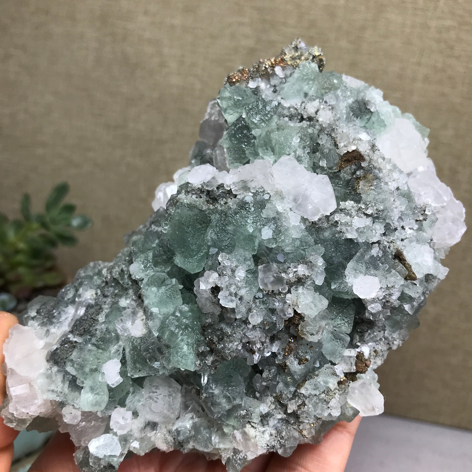 423g NATURAL Green Cubic FLUORITE paragenesis Crystal Cluster Specimen A4779