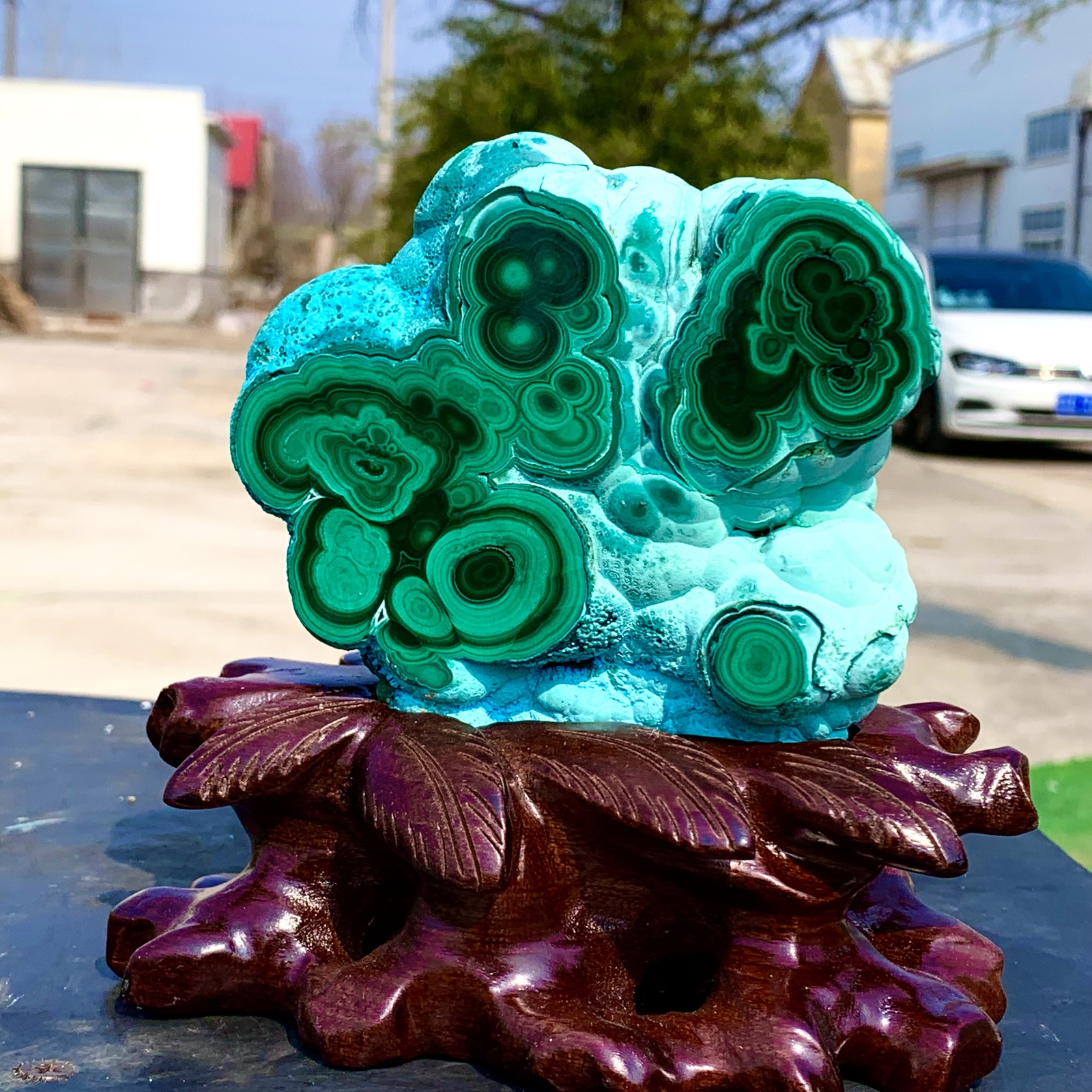 1.92LB Natural Chrysocolla/Malachite transparent cluster rough mineral sample