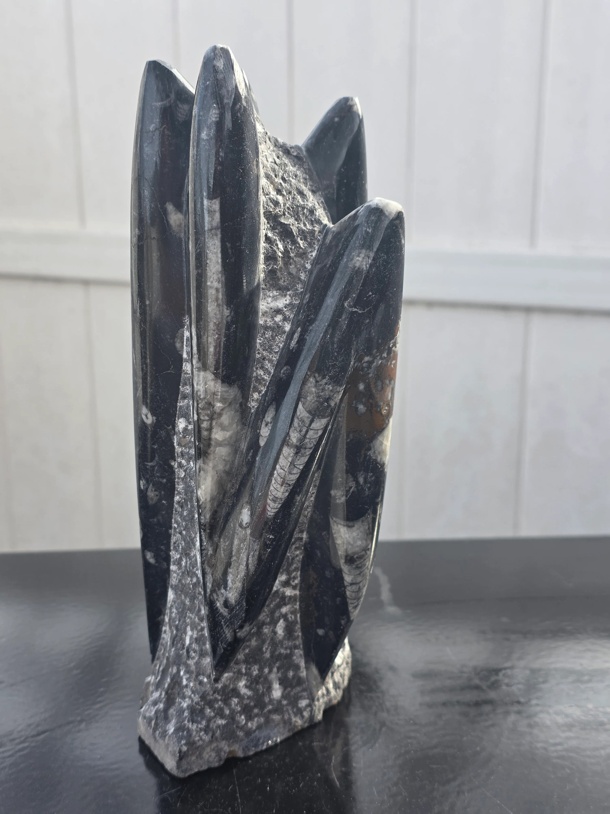 XL orthoceras limestone statue! 4.5 pounds, 9 inches tall, 3.3″ wide