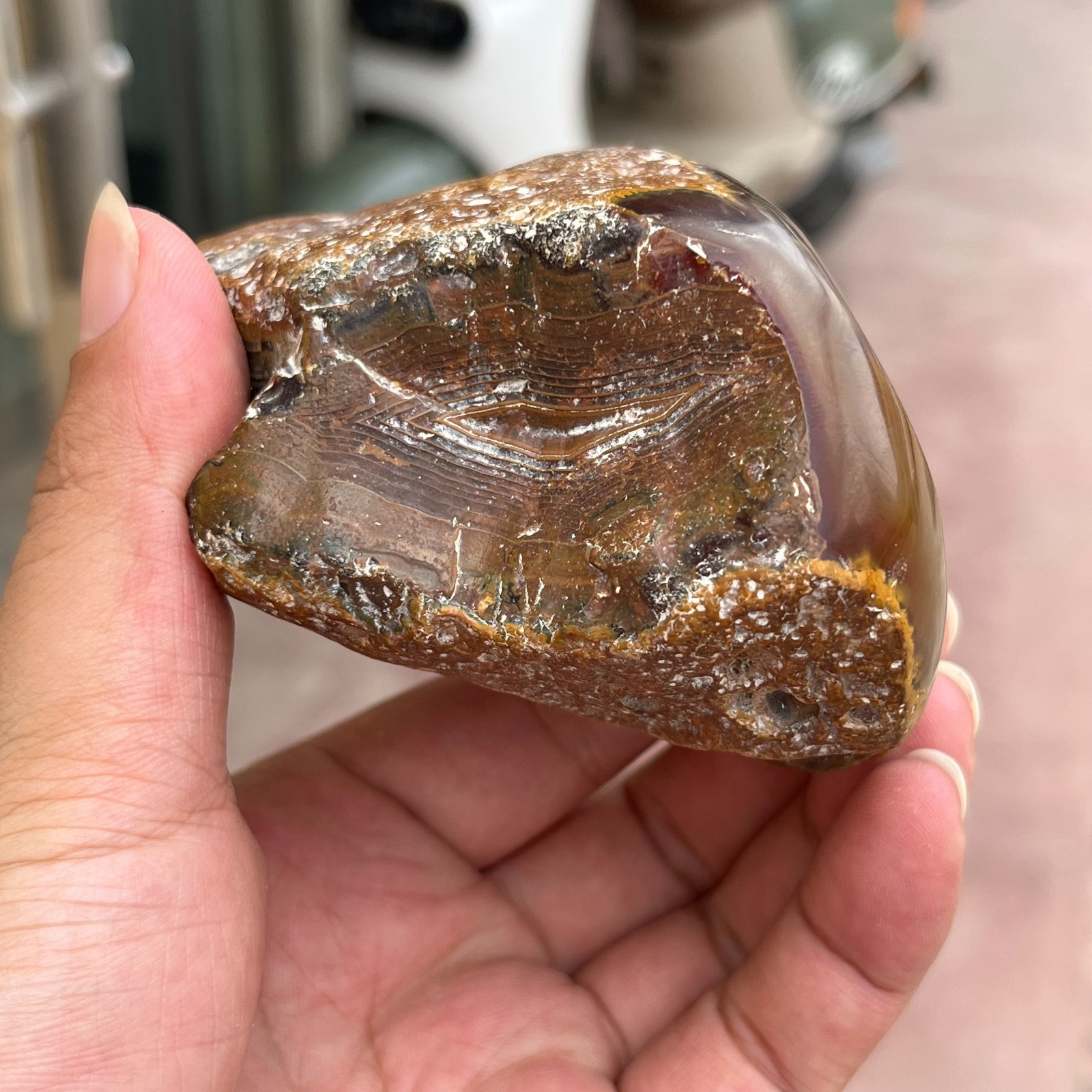 485g Small Natural Red Agate Geode Carnelian Druzy Crystal Mineral Specimen