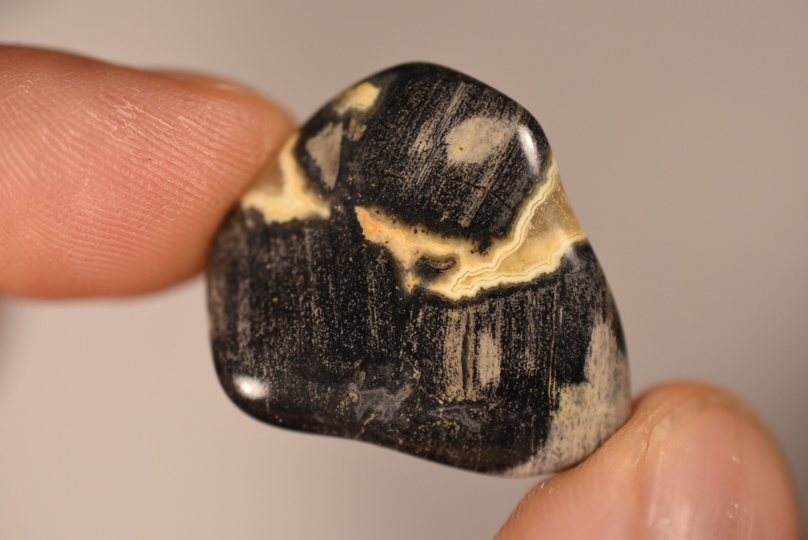 5 *SILVER LEAF JASPER* Tumbled Stones 2-4cm 71g Natural Stone