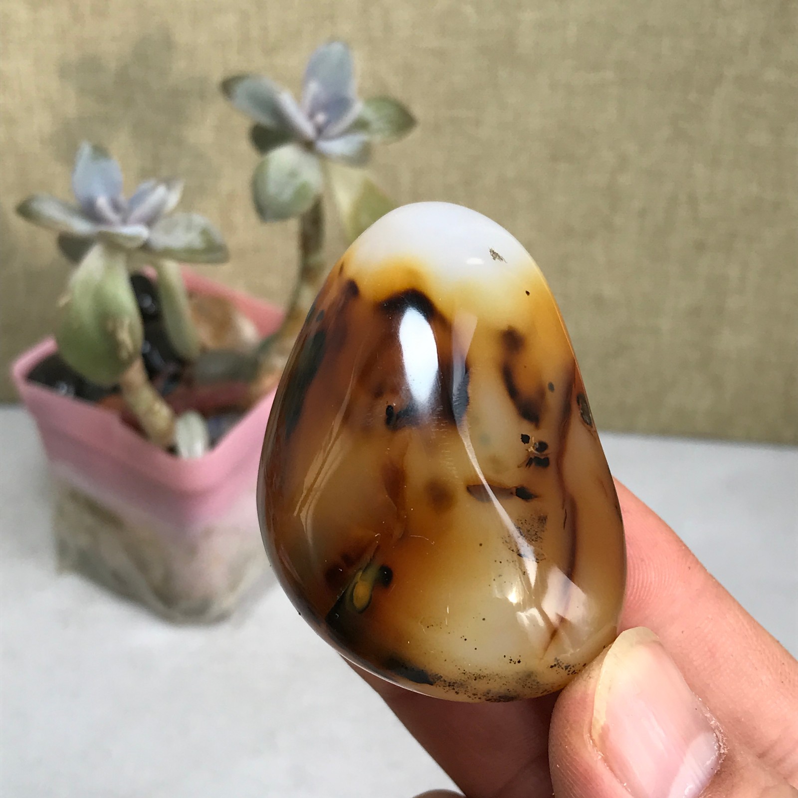 54-38-27mm Natural aquatic plants agate pretty Crystal specimens 79g A2379
