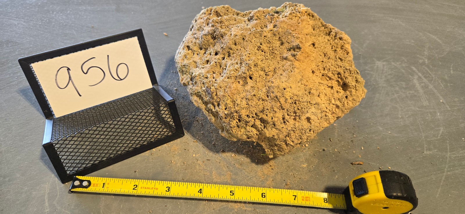 7″ Medium Pumice Stone Floating Natural Rock Carnivorous Succulent Garden #956