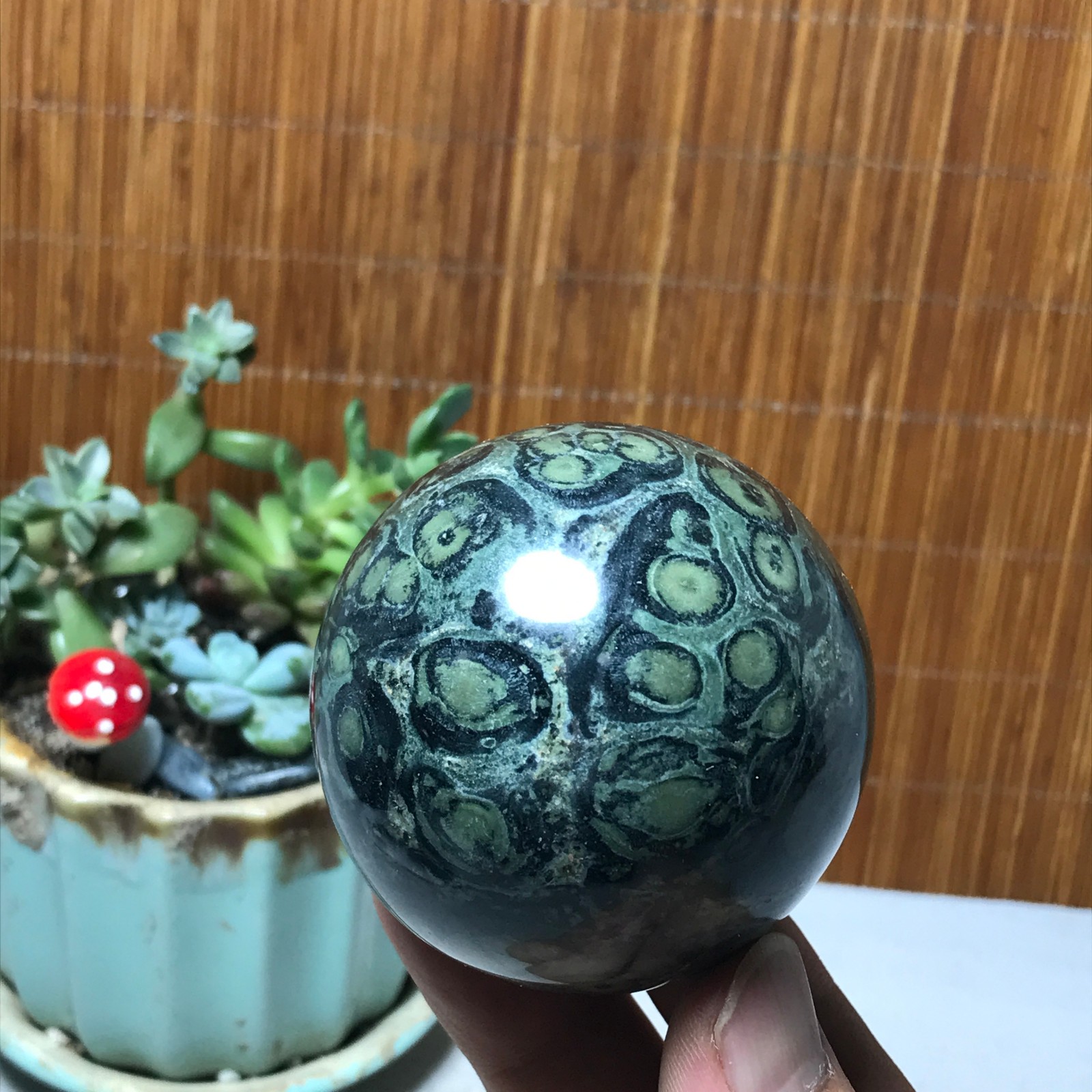 58mm NATURAL Green Kambaba jasper sphere ball quartz Crystal Healing 287g A6015