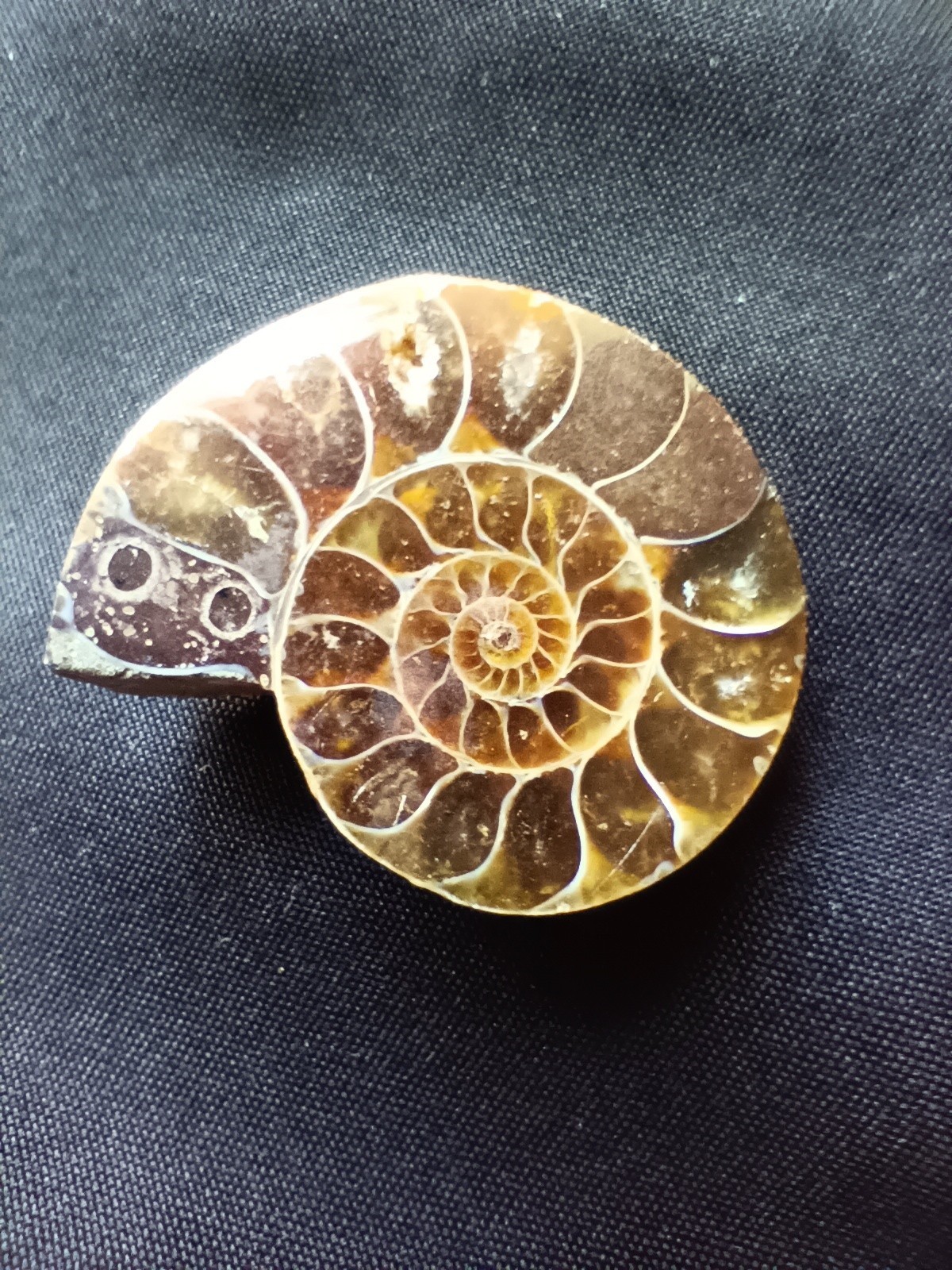 LOT OF 10 POLISHED Ammonite Fossil Conch Crystal Specimens GONIATITE PENDANTS +