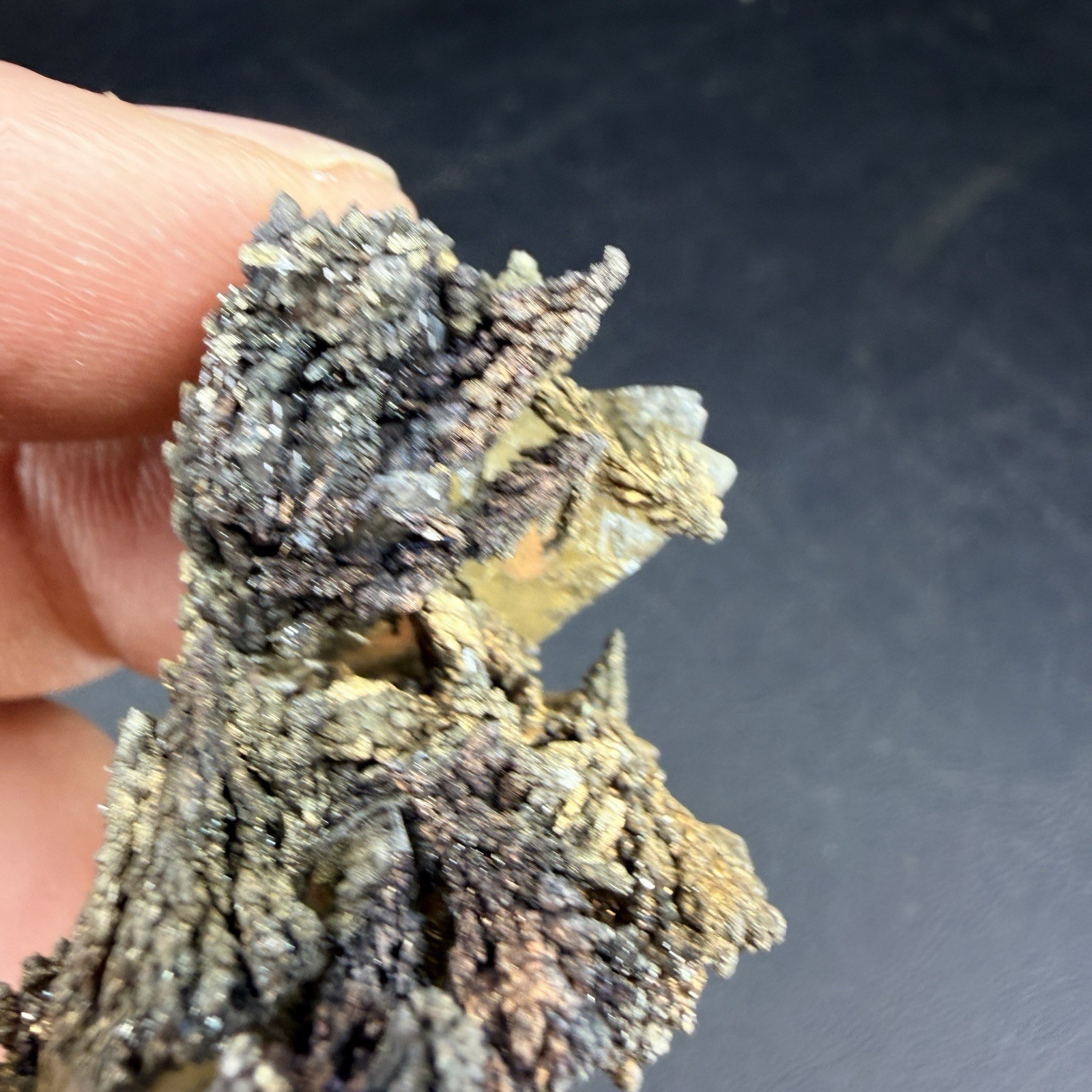Golden Calcite Flower Chalcopyrite Crystal Combo / Sweetwater Mine *Video*
