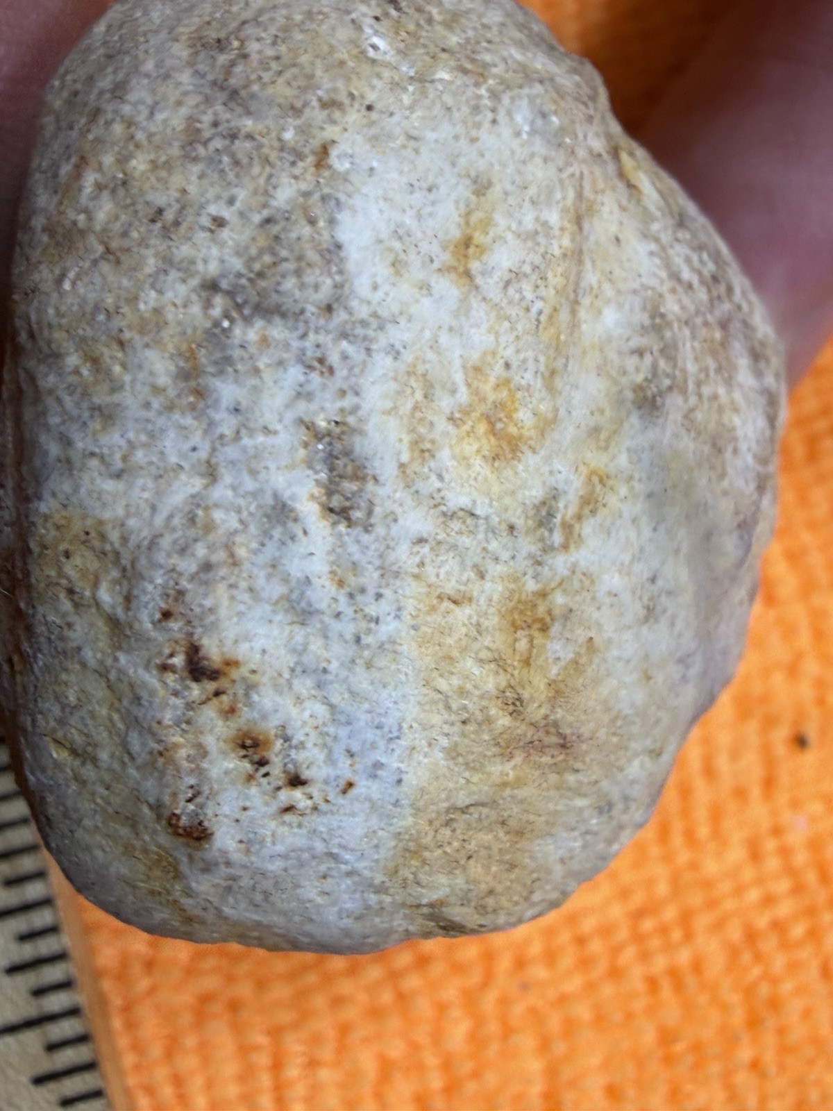 Uncut Chalcedony Agate Nodule Geode Coppedge Creek St JamesMO Raw Specimen 3.2oz