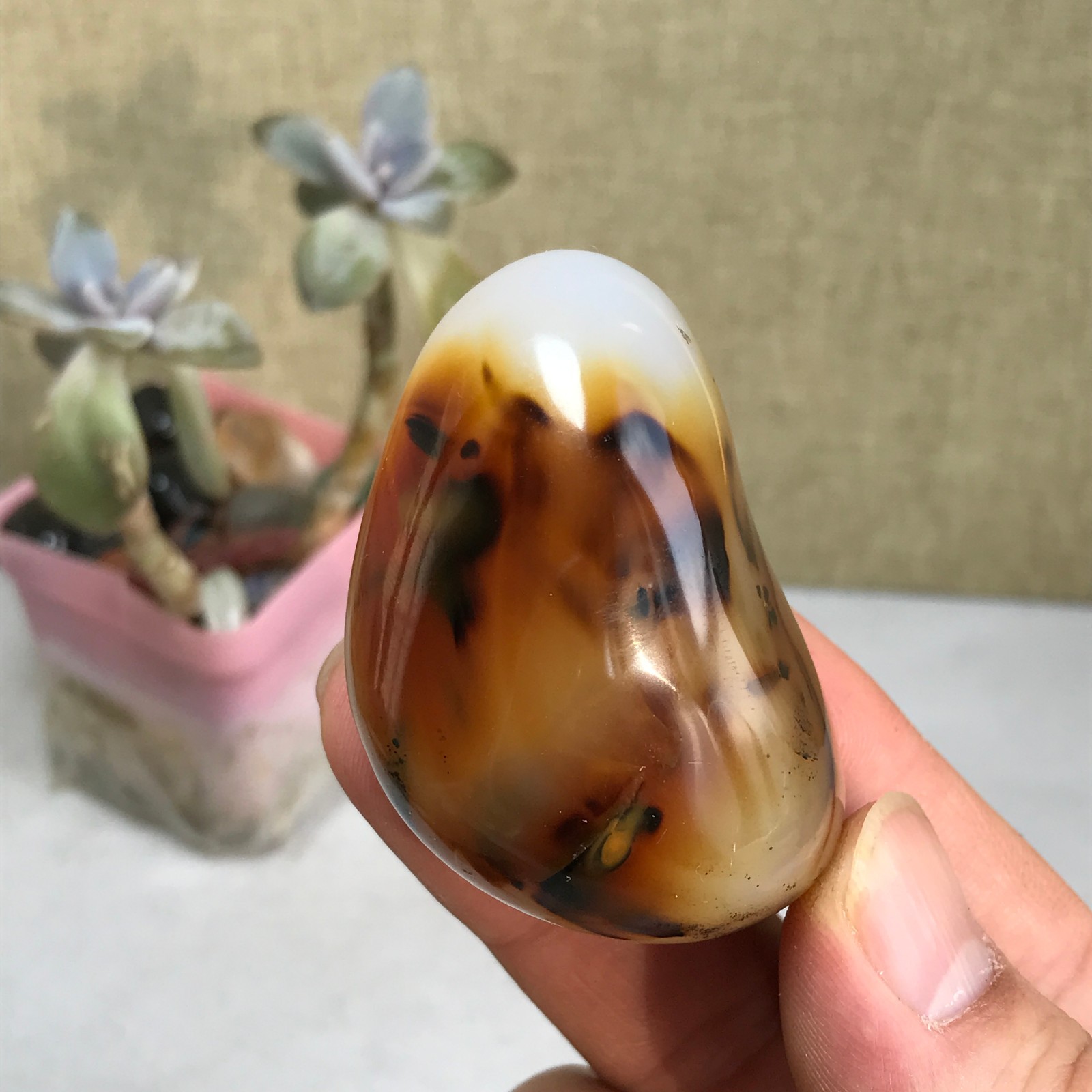54-38-27mm Natural aquatic plants agate pretty Crystal specimens 79g A2379