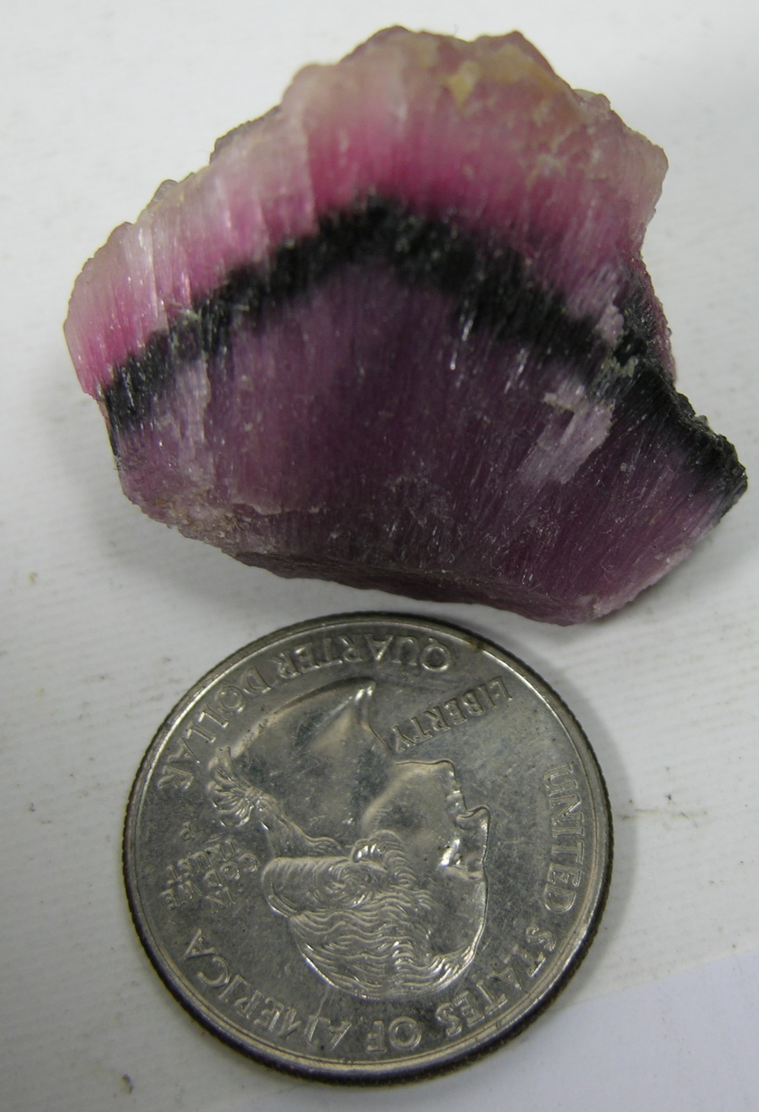 134.10Ct 100% Natrual Rubellite Mushroom Tourmaline Crystal Specimen 26.80g 27mm