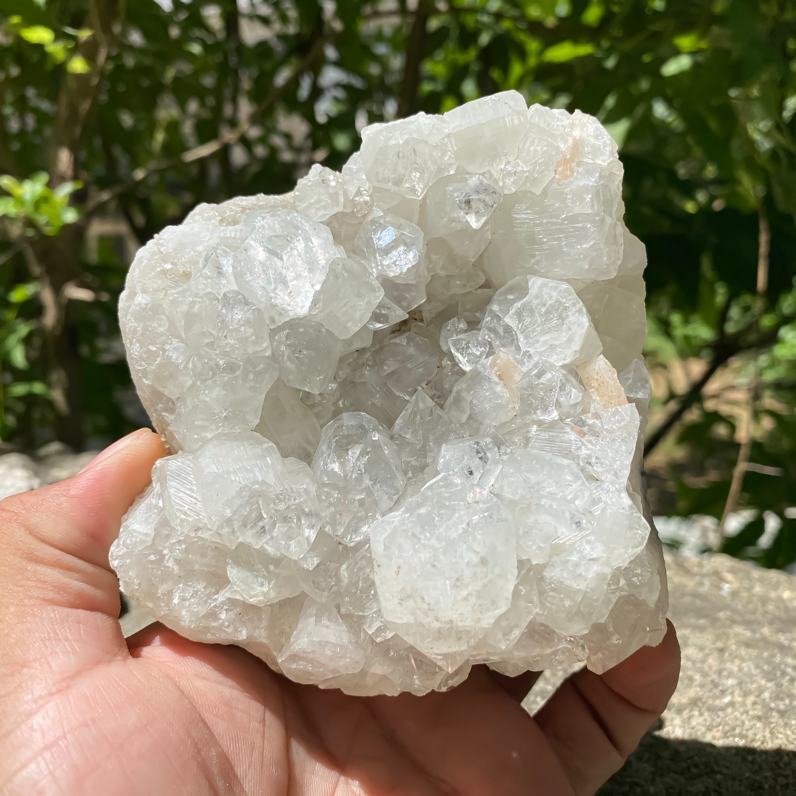 Apophyllite Cluster -Raw Crystal Cluster – Intuition 1.41 LBS – Witchy Decor