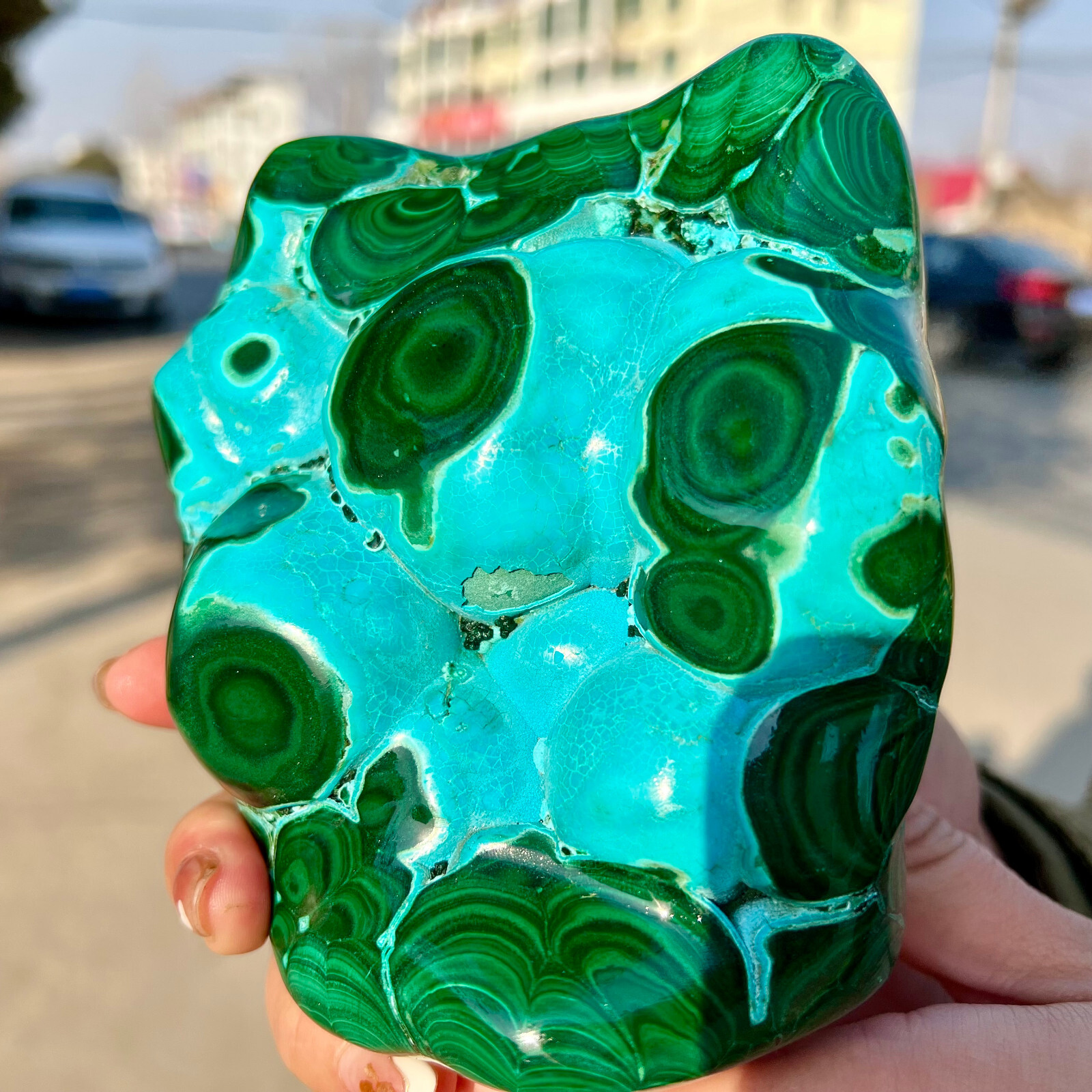 3.03LB Natural tortoise Malachite transparent cluster rough mineral sample