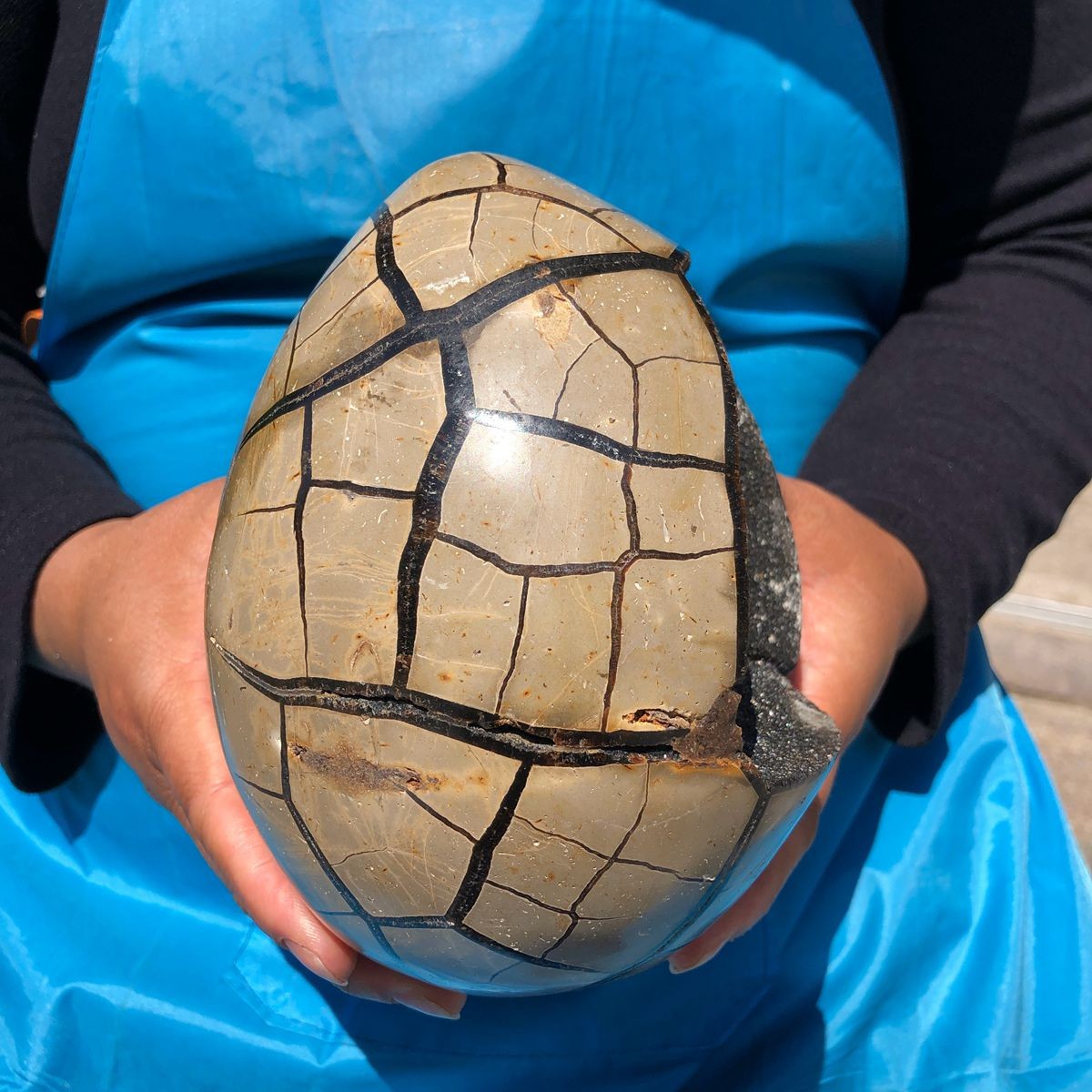 3410g Natural Dragon Septarian egg Quartz Crystal geode decoration
