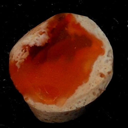 3.50ct Orange Mexican Fire Opal in Natural Host Rock 12x11x (2-5mm thick)