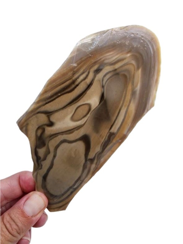 Polish Flint Slab 96.4 grams