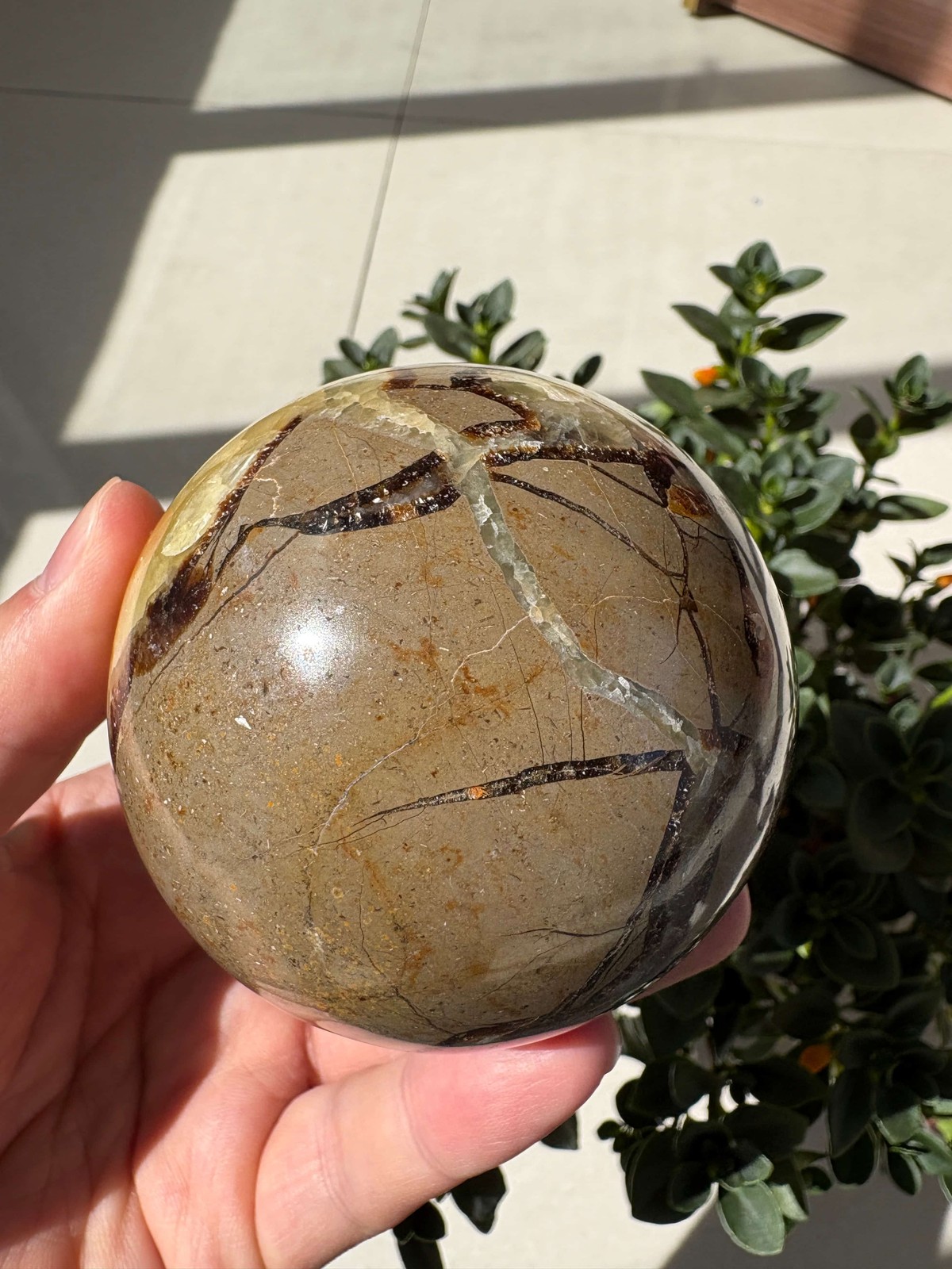 Natural Septarian Sphere 1.41lb 3.03″ Crystal Ball Healing