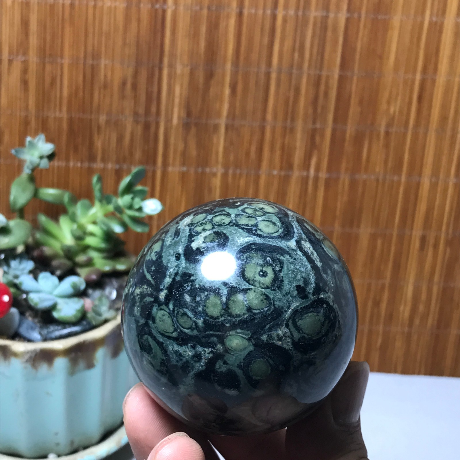 58mm NATURAL Green Kambaba jasper sphere ball quartz Crystal Healing 287g A6015