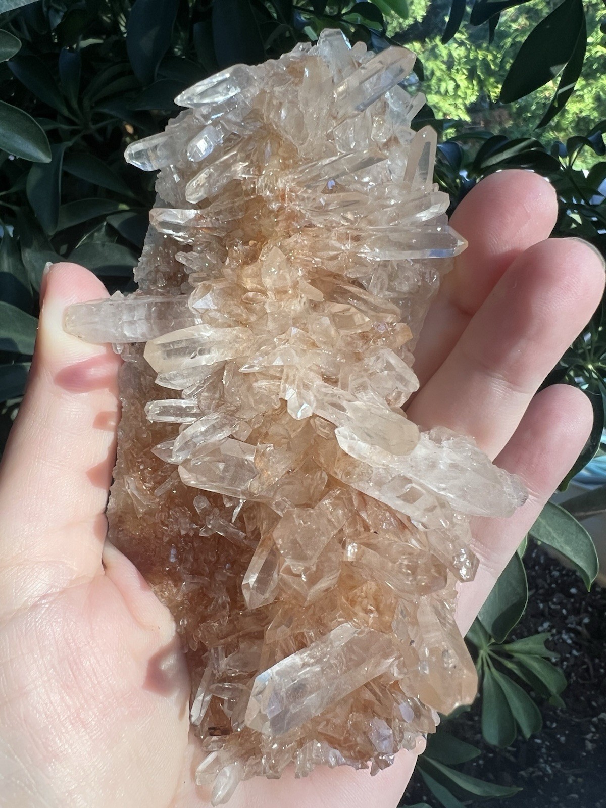Pink Quartz, 175grams, Himalayan, Nepal