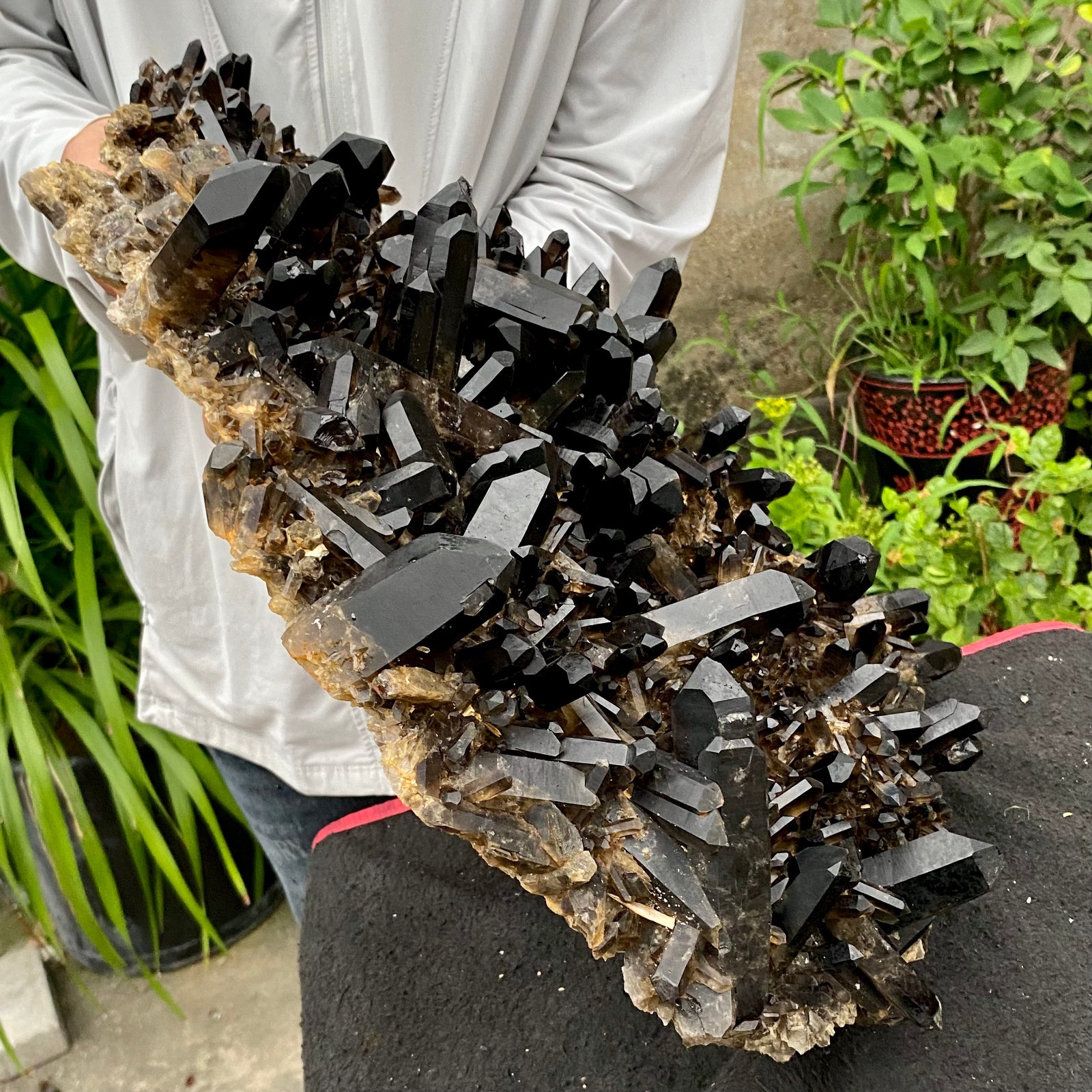 29.32LB Large Natural Smoky Black Quartz Cluster Crystal raw Specimen Healing