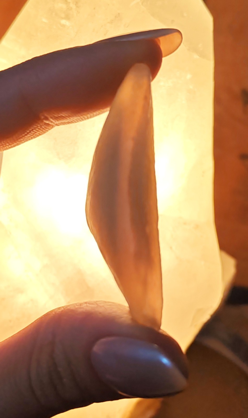 RARE! Gobi Desert Agate With Moving Sand Inclusions Sediment Enhydro Crystal