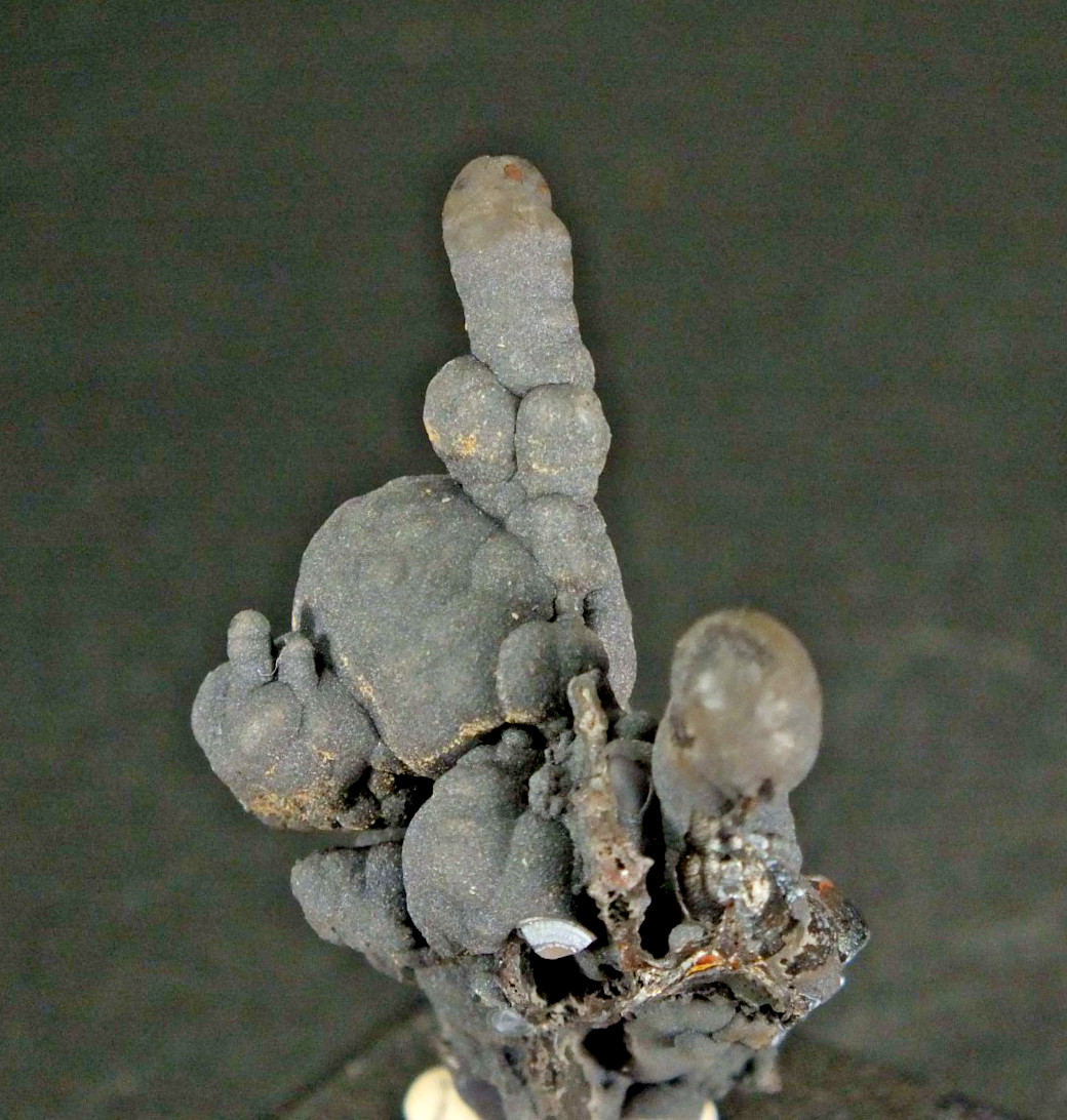 Goethite Botryoidal Group, Whim Well Mine Whim Creek, W Australia . (EA12233)