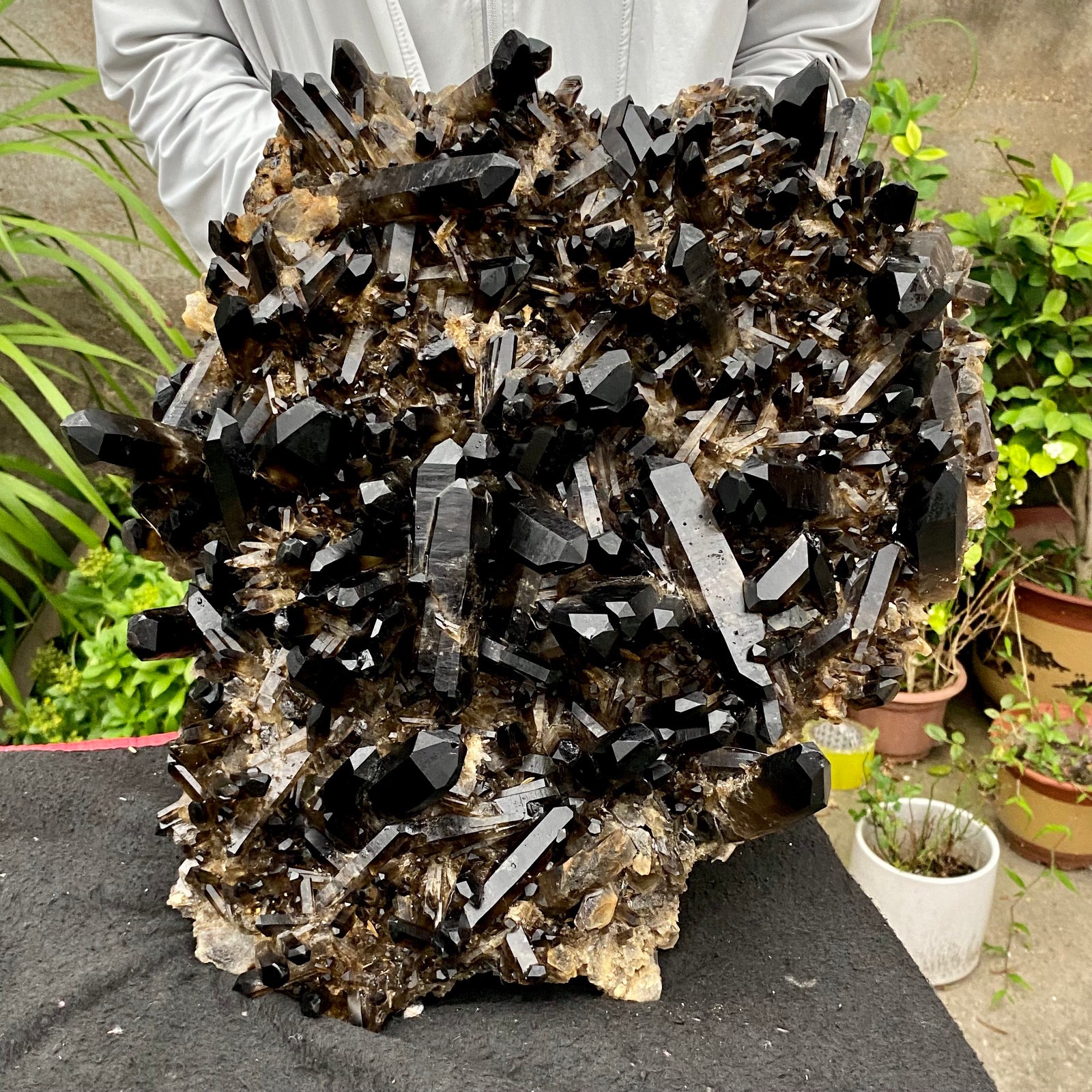 29.32LB Large Natural Smoky Black Quartz Cluster Crystal raw Specimen Healing