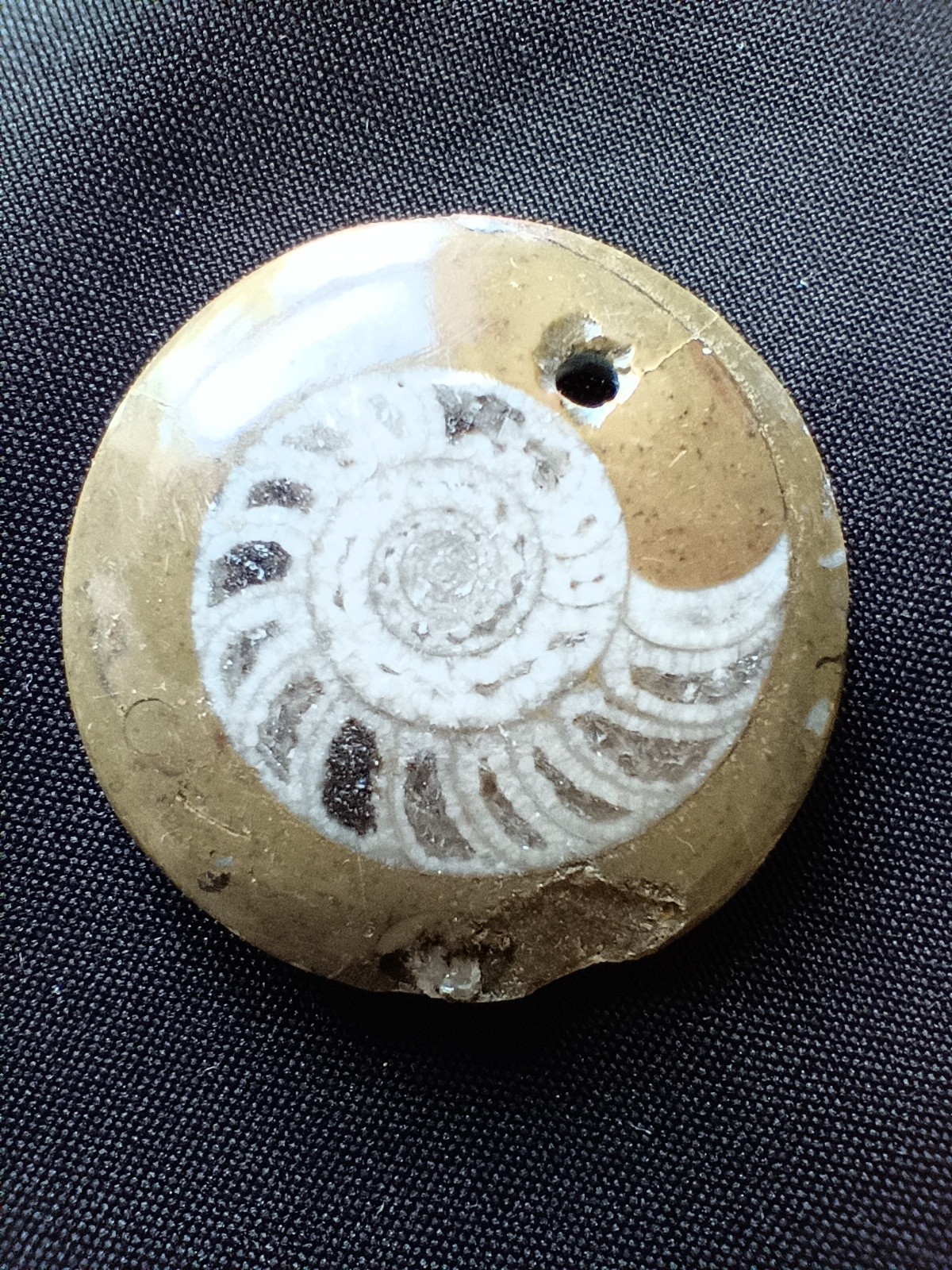 LOT OF 10 POLISHED Ammonite Fossil Conch Crystal Specimens GONIATITE PENDANTS +