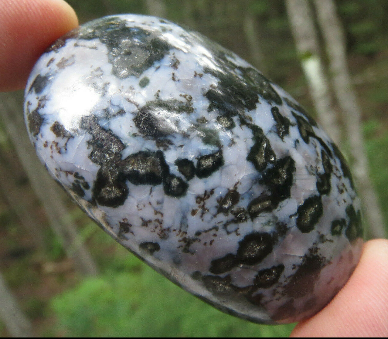 MYSTIC MERLINITE INDIGO GABBRO POWERFUL MERLIN WIZARD CRYSTAL PALMSTONE *1
