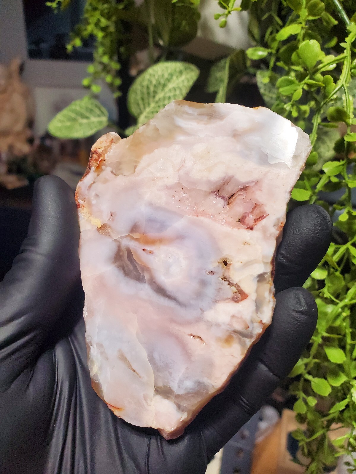 124g Beautiful Flower Agate Slice Slab Crystal Quartz Energy Healing Crystal
