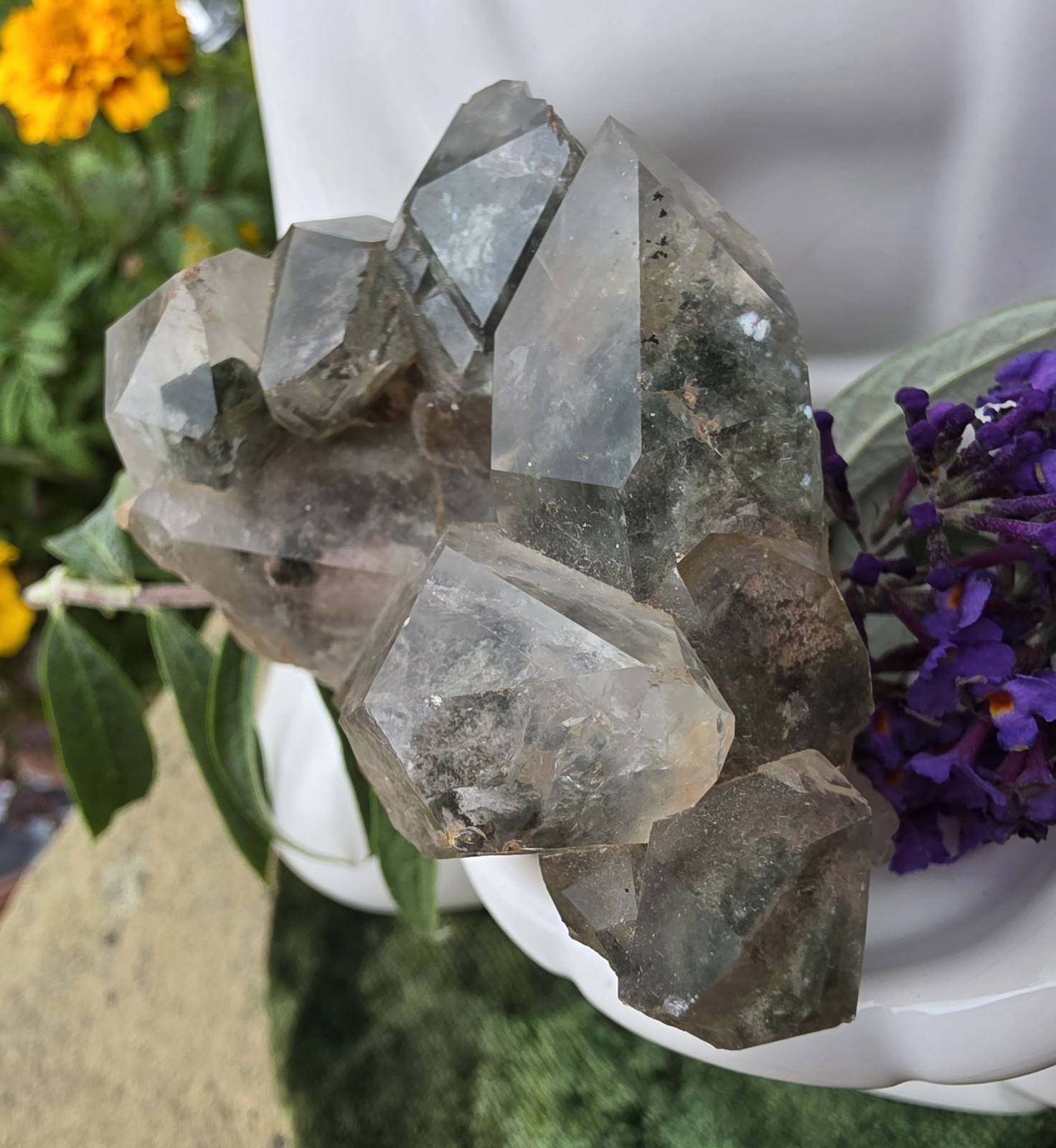Green Chlorite Quartz Point Cluster
