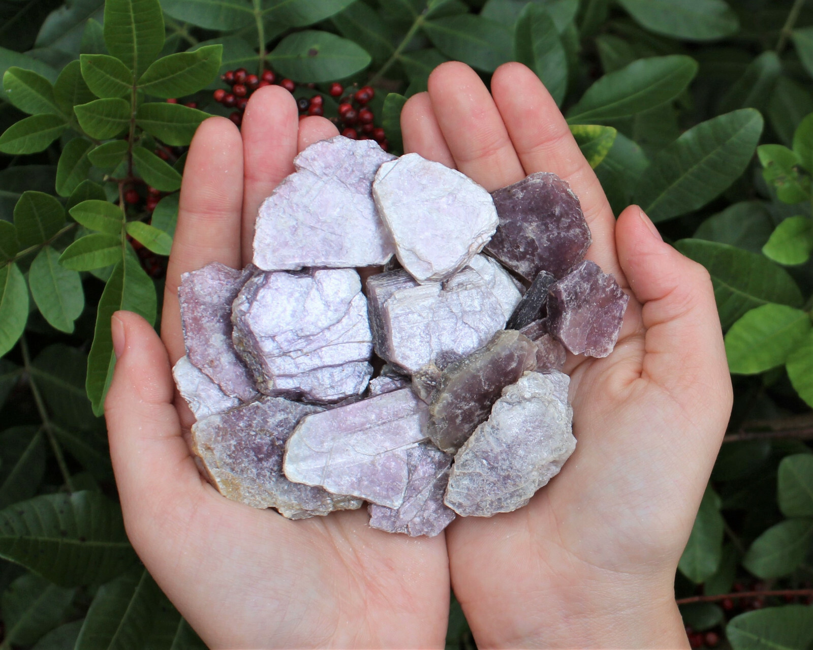 1 lb Lepidolite Leaves / Slabs Collection in Box, Layered Mica Crystal Mirrors