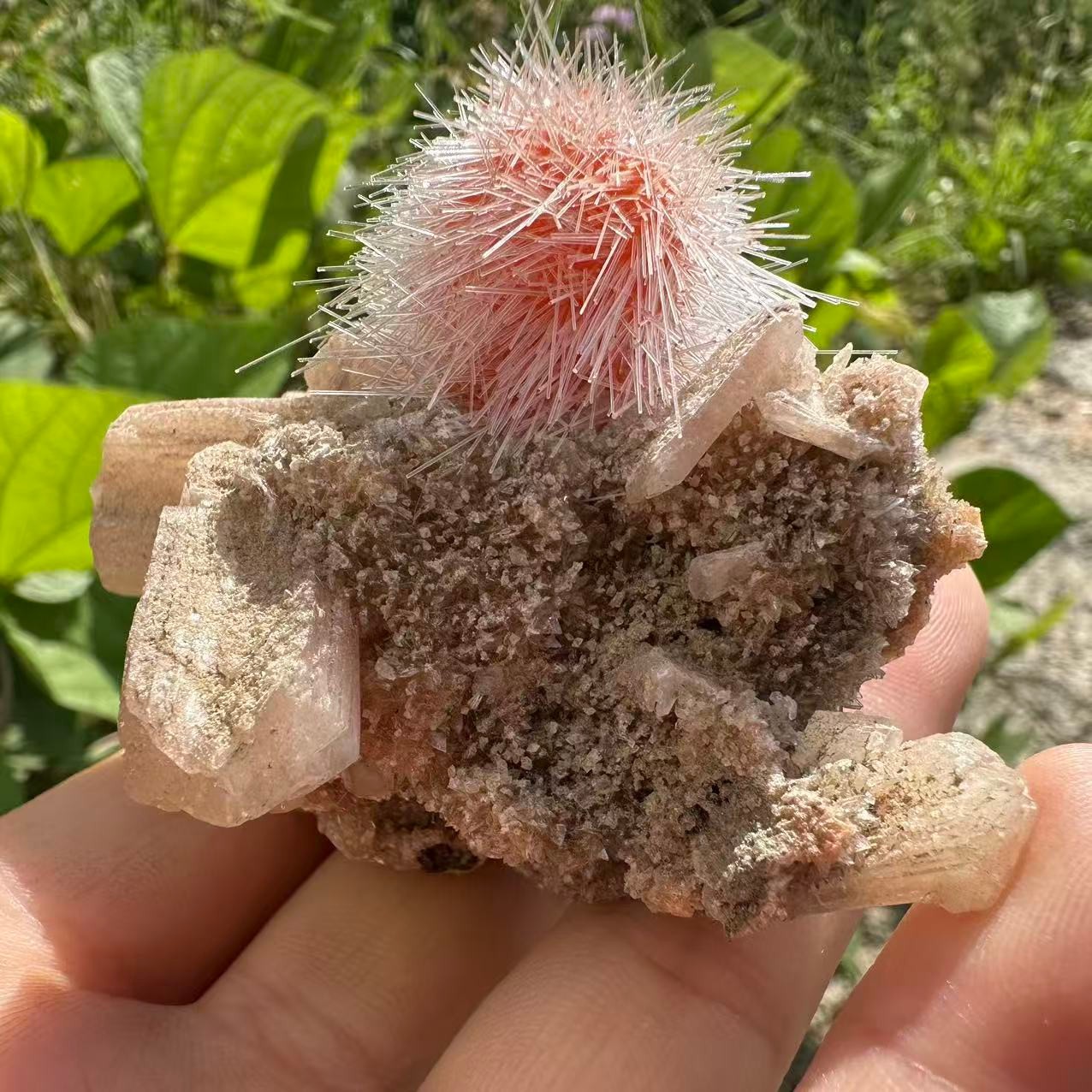 95g Dandelion Zeolite Quartz Crystal Cluster Mineral Quartz Crystal Specimens