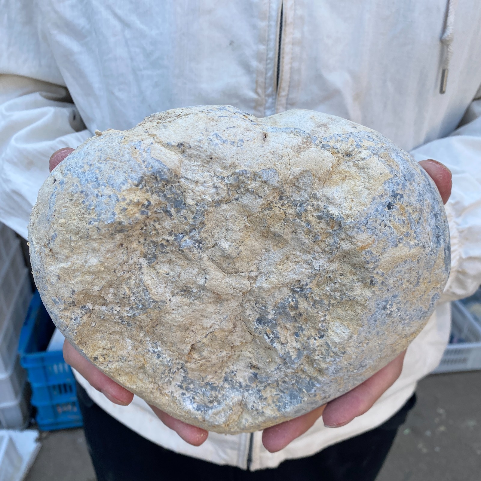 9.8LB Celestite Cluster Blue Geode Crystal Rock Yoga Meditation Reiki Decor