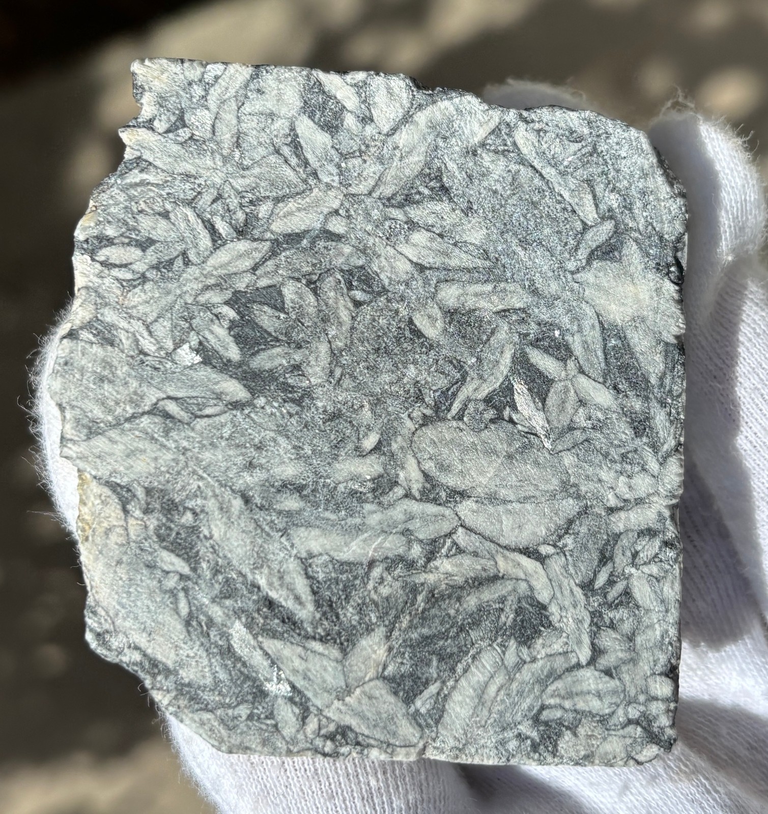 1lb+ LOT PINOLITH JASPER ROUGH LARGE SPECIMENS SPECIMEN 1 POUND LARGE CHUNKS