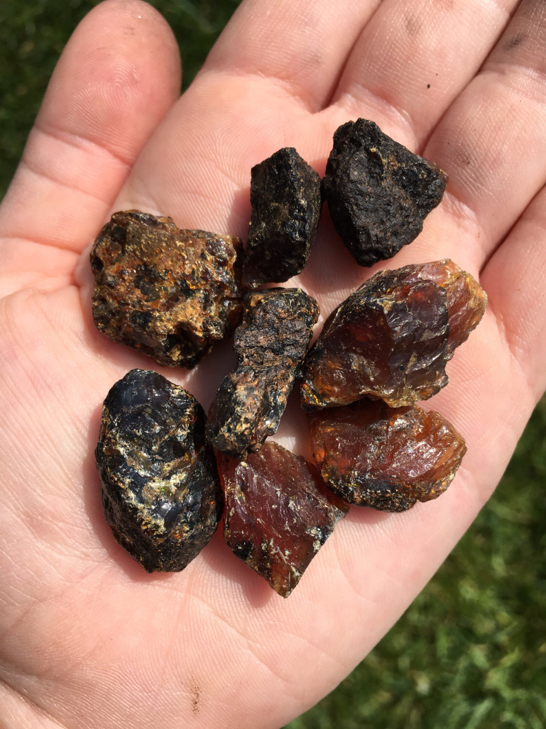Raw Black Amber Fossilized Resin (0.5″-6″) Natural Amber from Indonesia