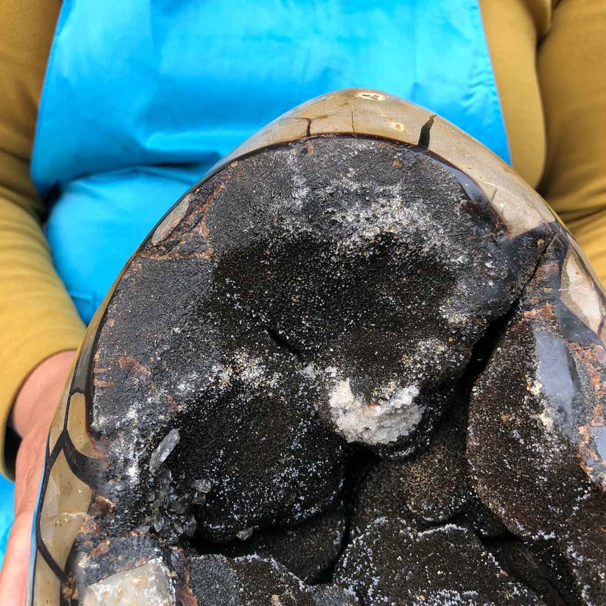 12.3KG Natural Turtle Back Stone Dragon Crystal Cave Crack Gem Healing 4350