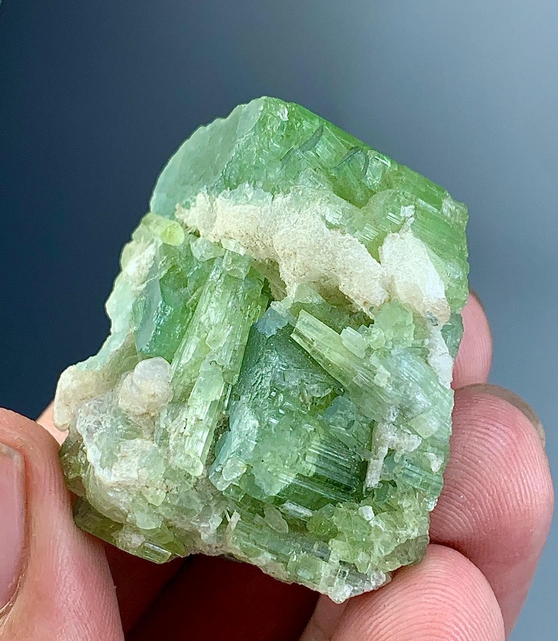 Green Tourmaline Crystal Specimen Afghanistan 137 Carat