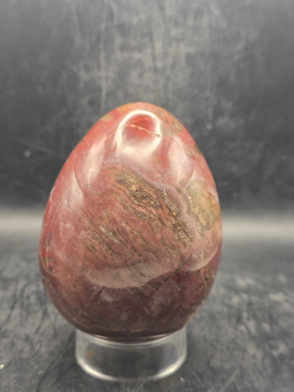 Petrified wood egg! 1.4 pounds! 3.5 inches tall, 2.7″ wide
