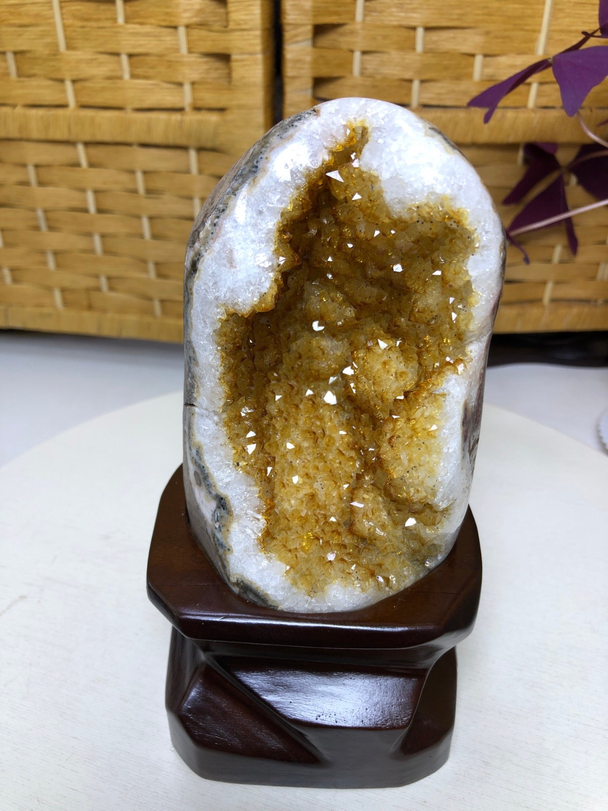 2.6LB Natural citrine Cluster quartz cluster crystal mineral specimen gift +base