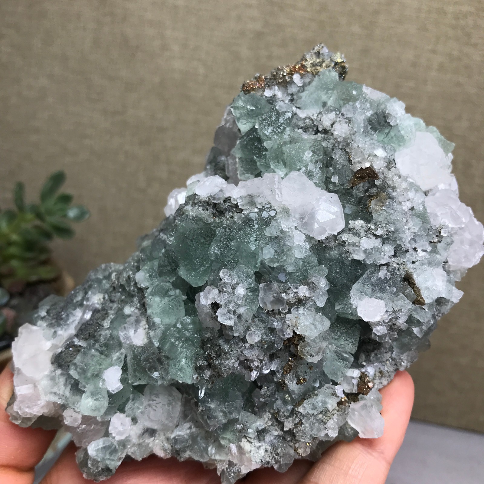 423g NATURAL Green Cubic FLUORITE paragenesis Crystal Cluster Specimen A4779