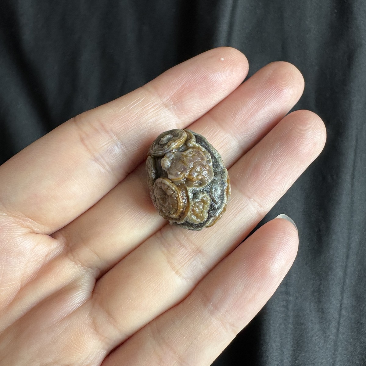 2.4cm/8.3g High Quality Alxa Gobi Desert High Raised-Relief Eye Agate-3212