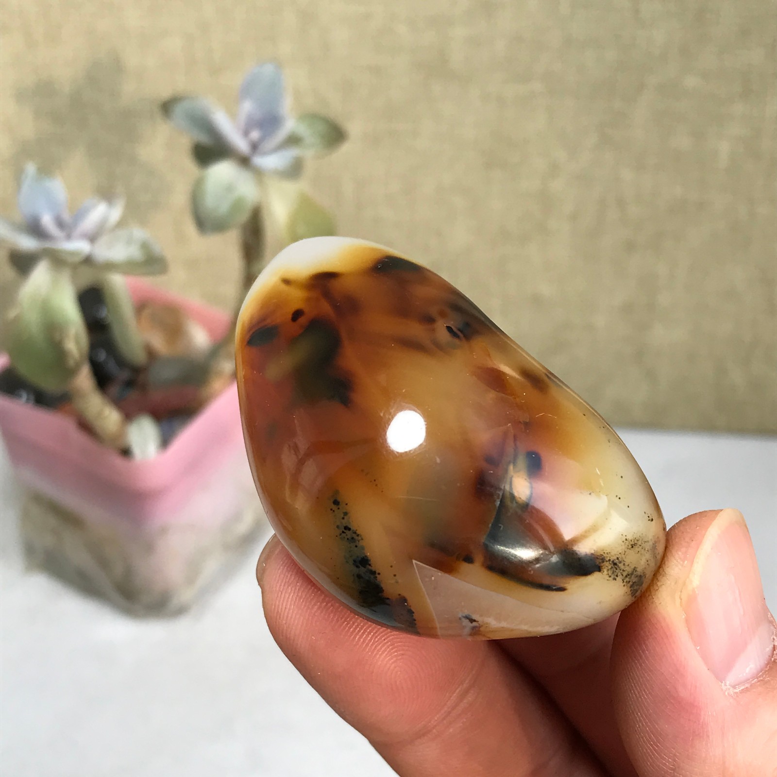 54-38-27mm Natural aquatic plants agate pretty Crystal specimens 79g A2379