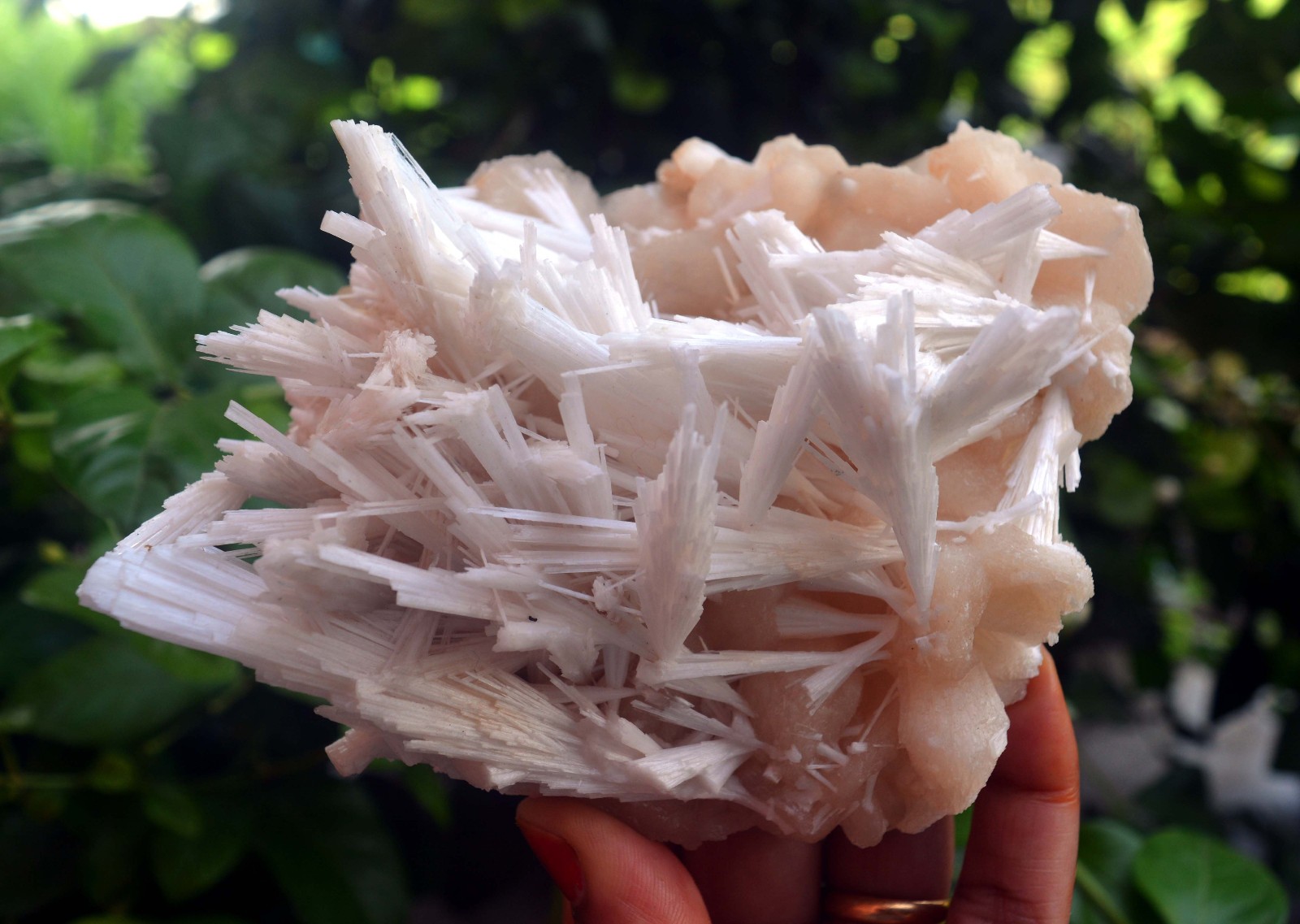 scolecite spray w/ stilbite formation minerals specimen a-8