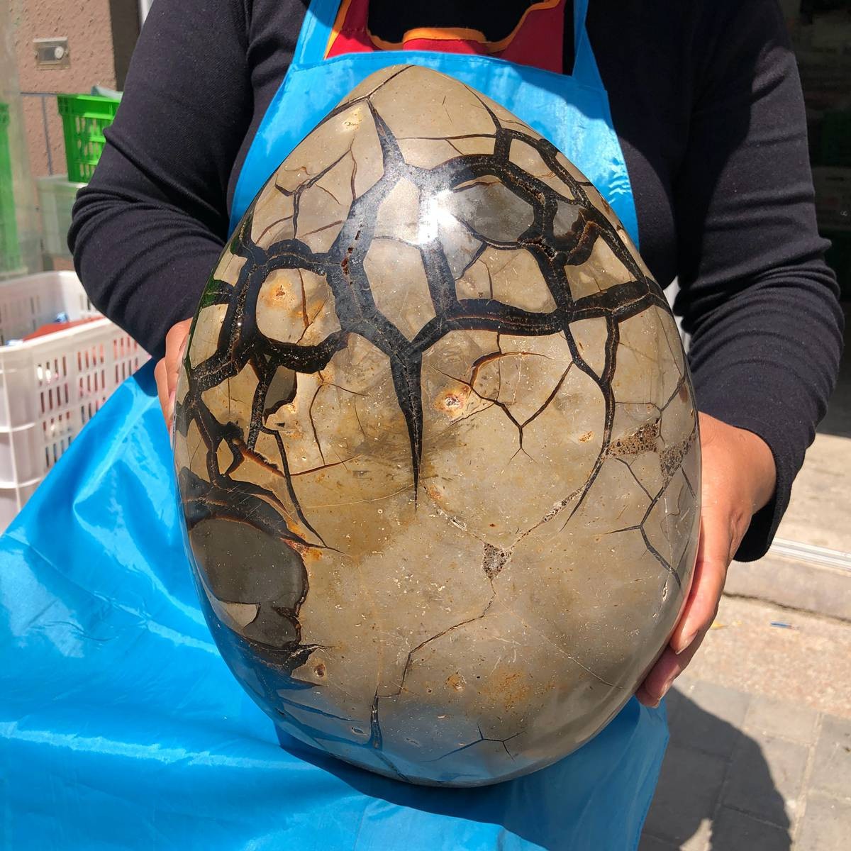 18KG Natural Turtle Back Stone Dragon Crystal Cave Crack Gem Healing 4333