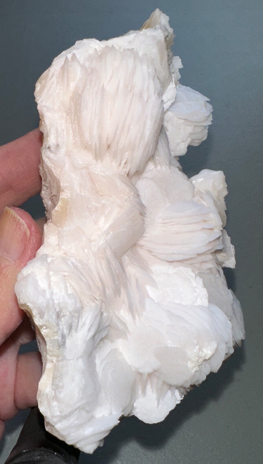 Rose Petal Calcite Specimen,Metaphysical,UV,Quartz Crystal Gift,Unique,Decor