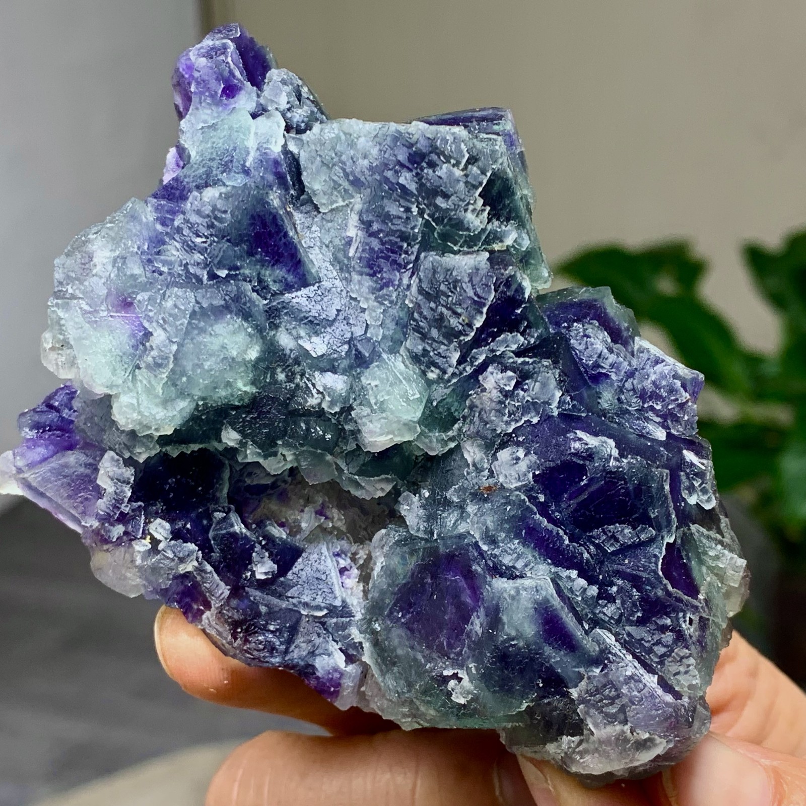 294G Rare transparent purple octahedron fluorite mineral crystal sample/China
