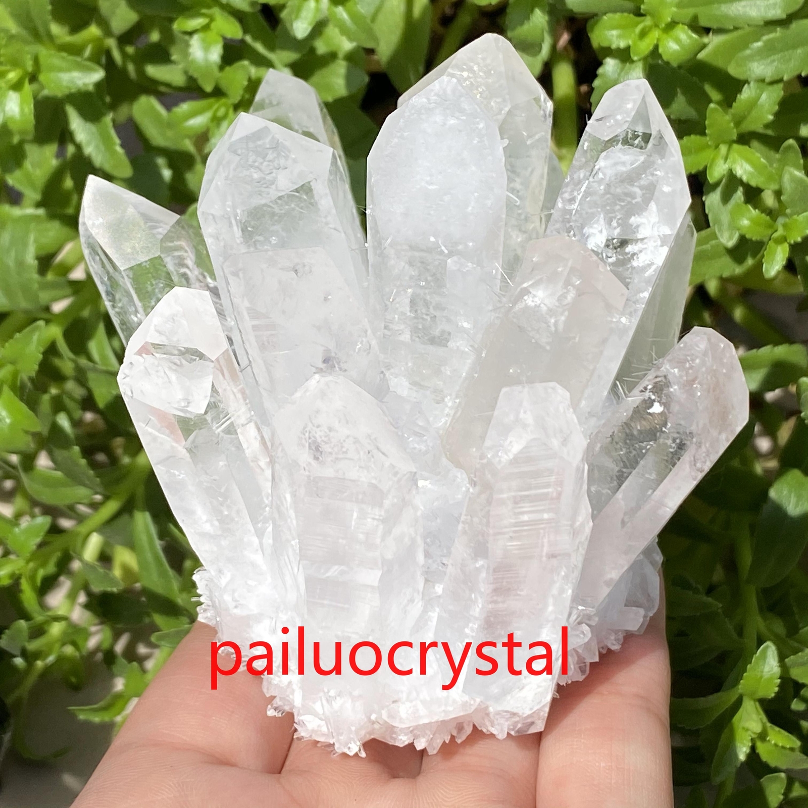 300g+ Natural Clear Quartz Cluster Crystal Cluster Specimens Gem Random delivery