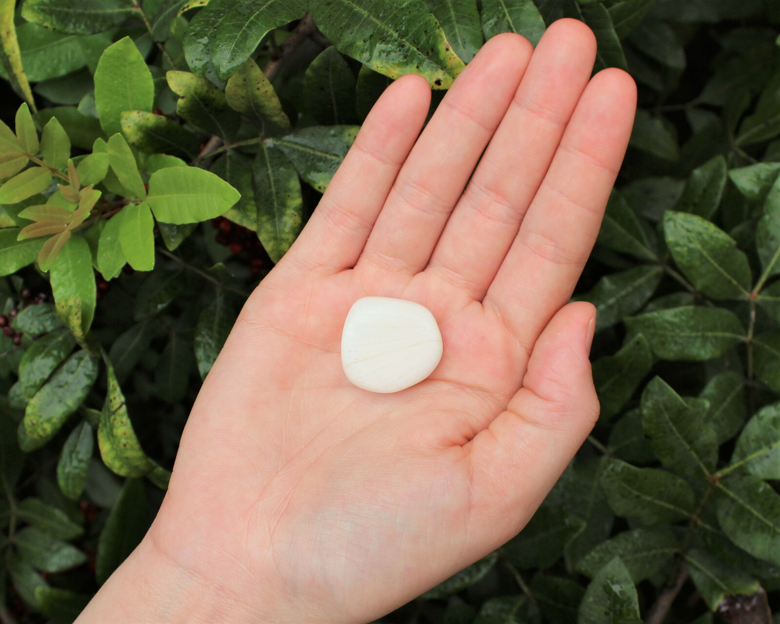 1/2 lb Scolecite Tumbled Stones (Crystal Healing Gemstone, Crystal) 8 oz