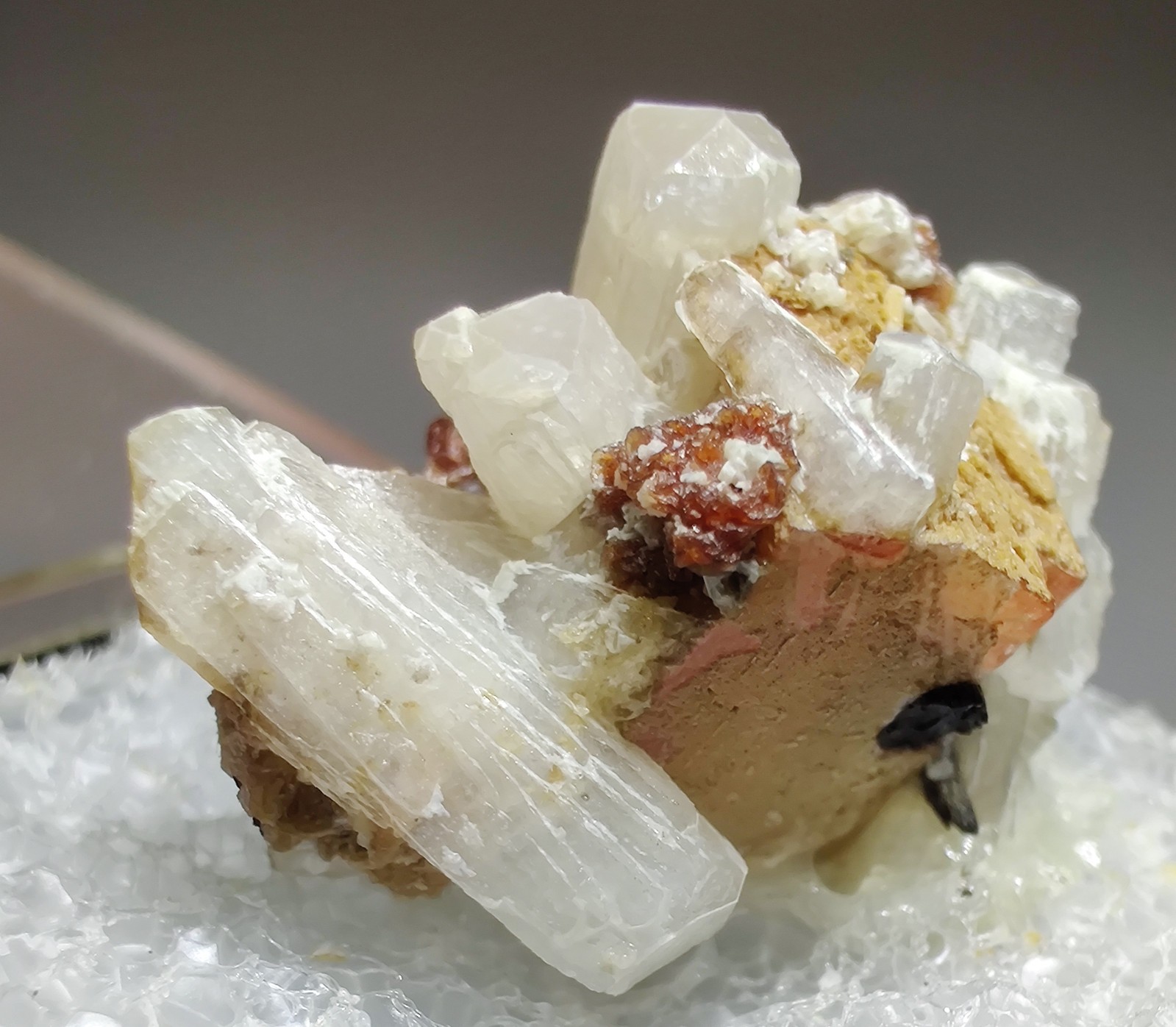Rhodochrosite, Serandite, Natrolite crystals. Mt. St. Hilaire, Canada. 2.2 cm.