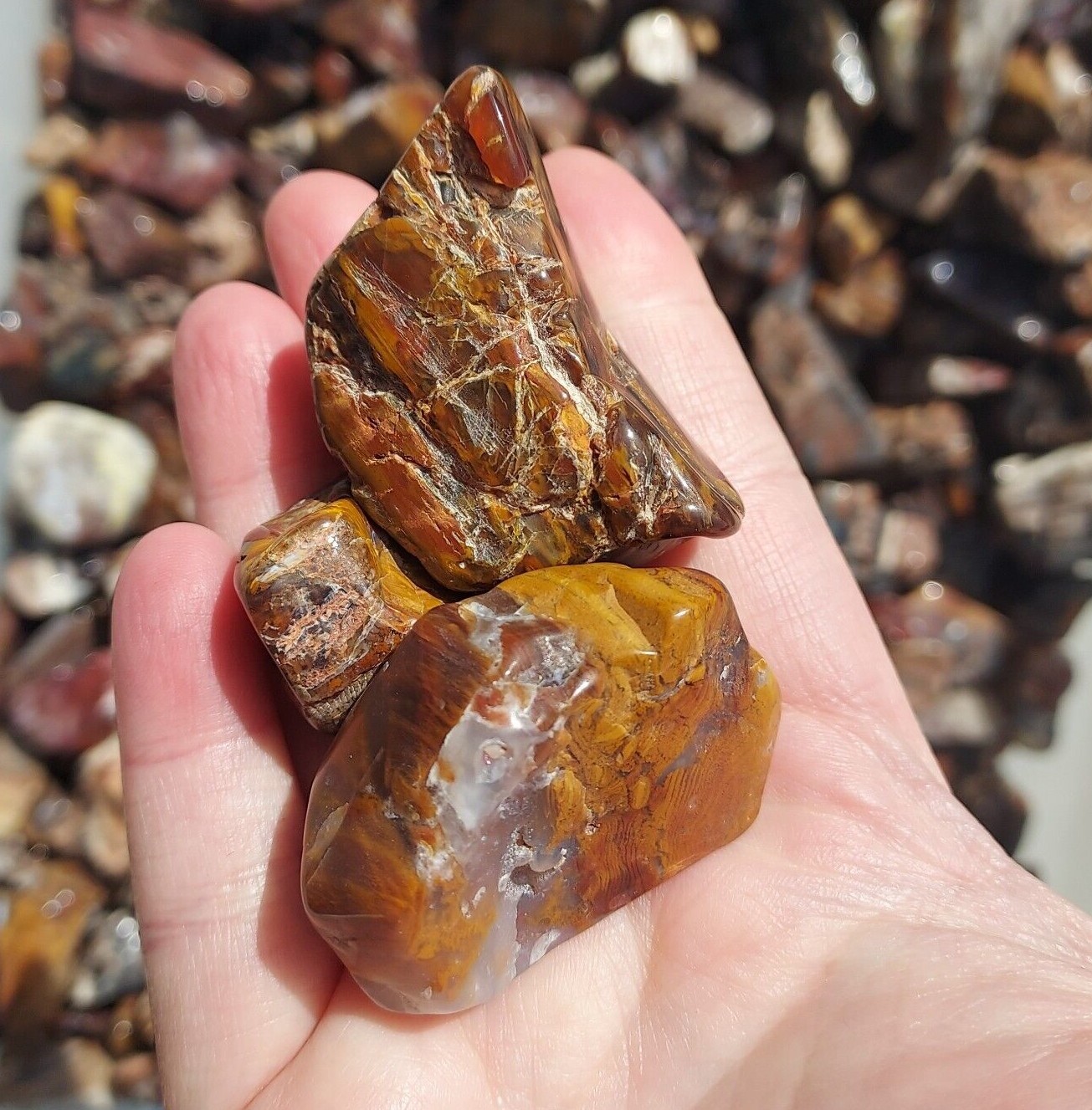Heber, Utah Petrified Wood Tumbled Stones – Tumbled Gemstones Bulk