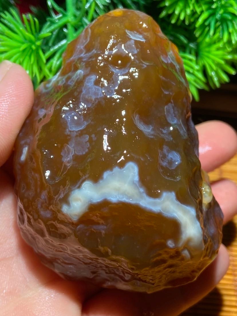 Rare China Inner Mongolia Gobi Eye Agate Stone Specimen 100% Natural Designer